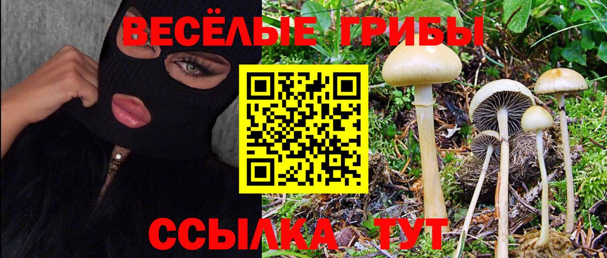 Галлюциногенные грибы MAGIC MUSHROOMS  Вход с VPN  Галлюциногенные грибы мухоморы  Елабуга 