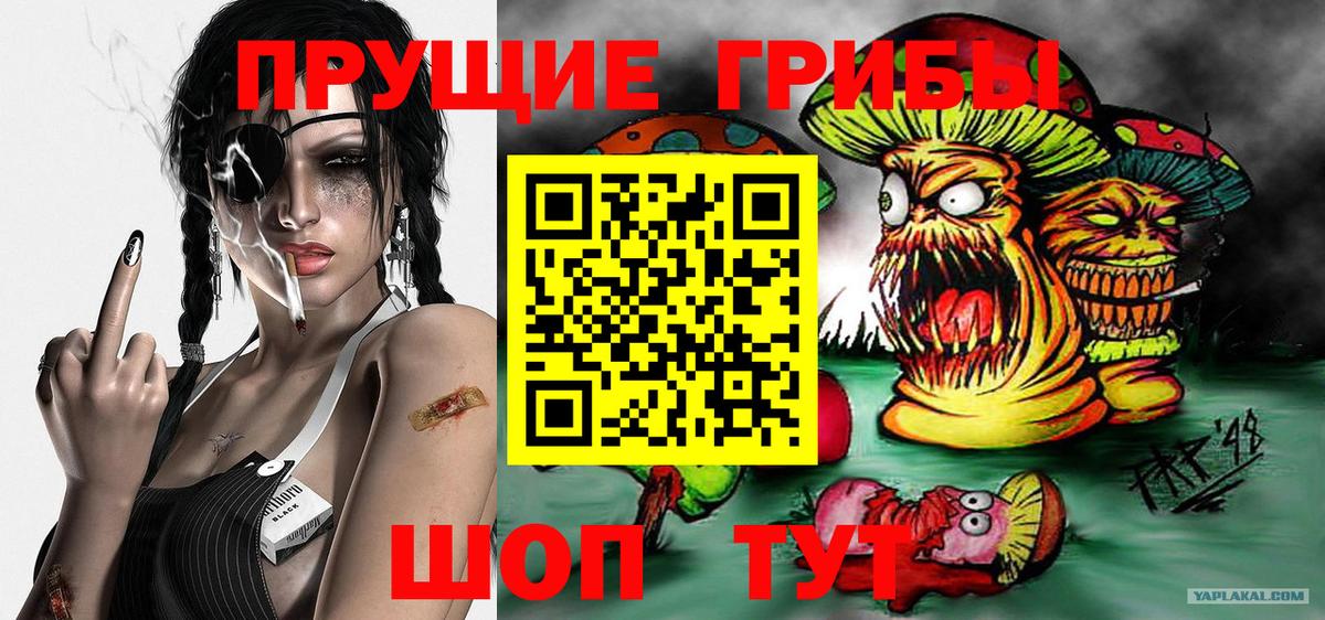 Псилоцибиновые грибы мухоморы Елабуга
